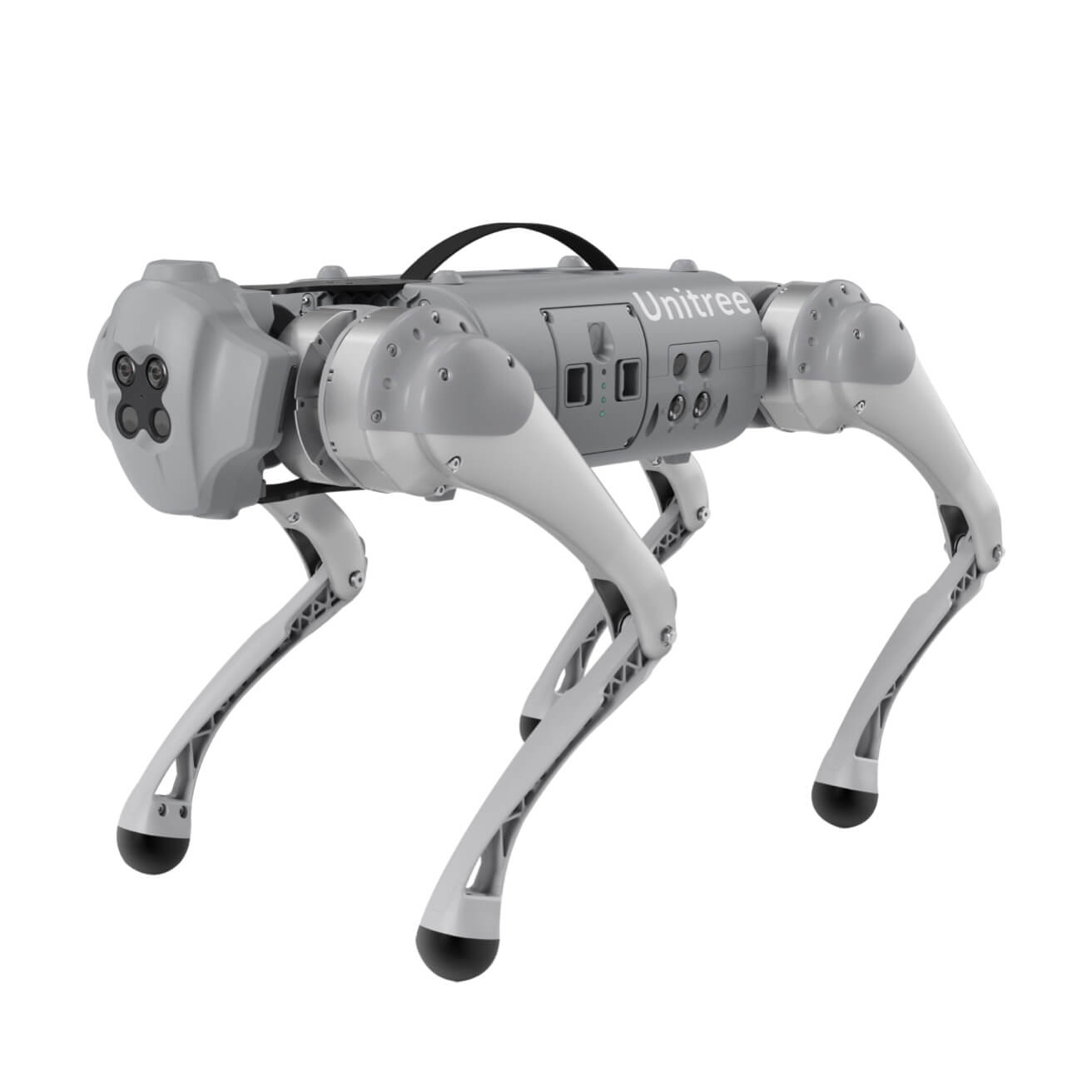 Go1 — Quadruped robots