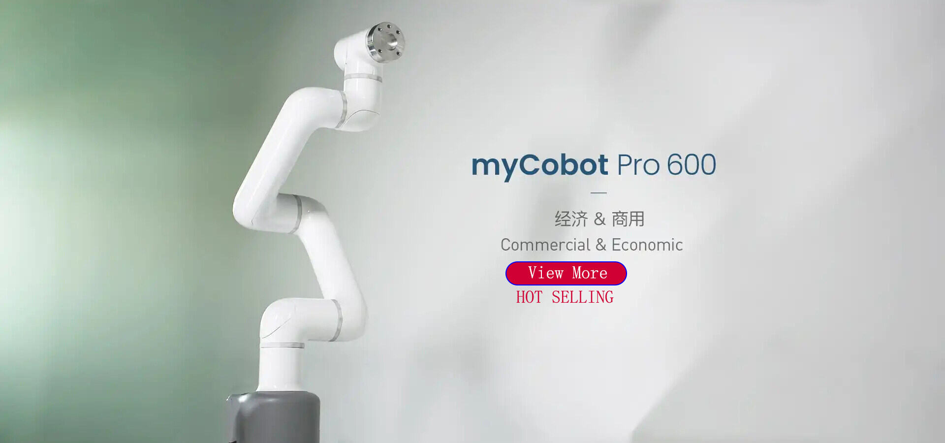 Mycobot Pro 600 — Robotic arms